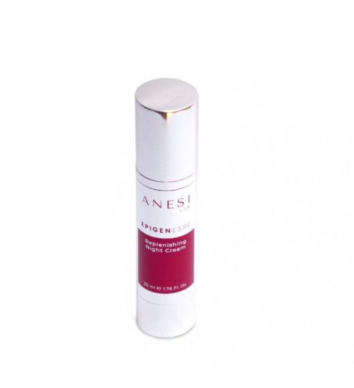 Epigenesse. Replenish Night Cream - ANESI